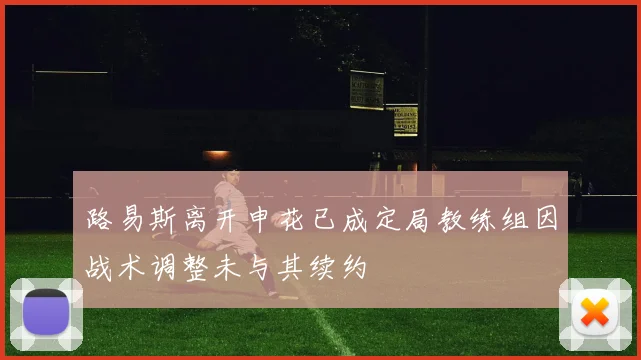 路易斯离开申花已成定局教练组因战术调整未与其续约