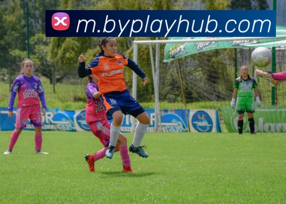 宝盈体育APP 封面图